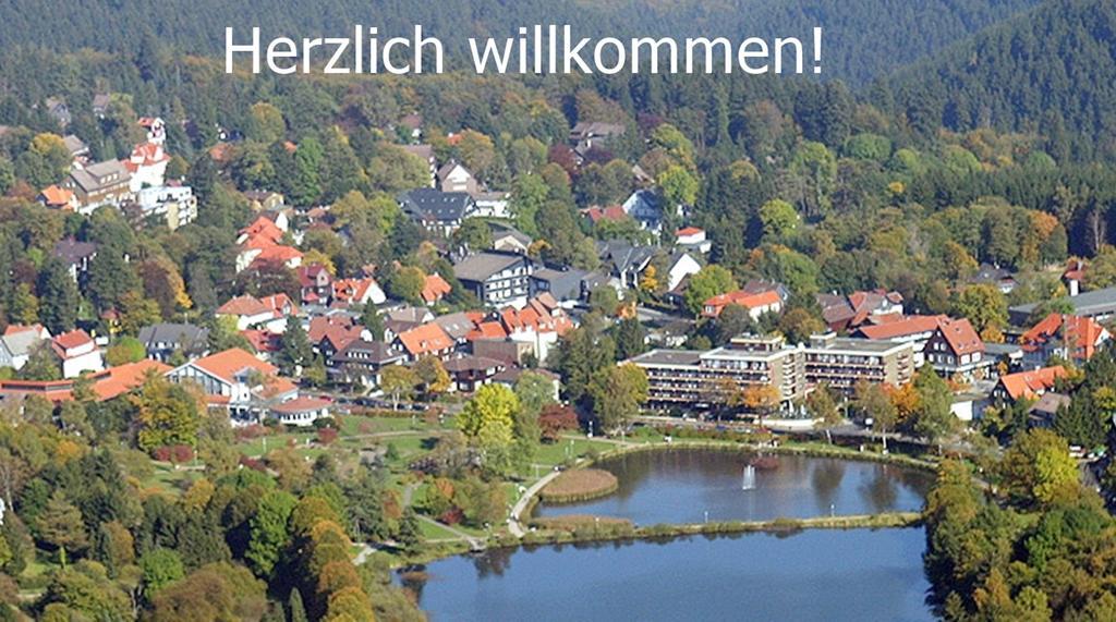 Premium-Ferienwohnungen Bergblick Im Haus Hopfe 고슬라르 외부 사진