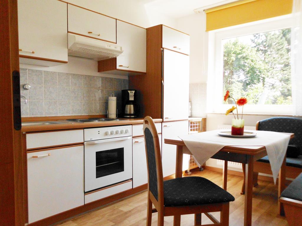 Premium-Ferienwohnungen Bergblick Im Haus Hopfe 고슬라르 외부 사진